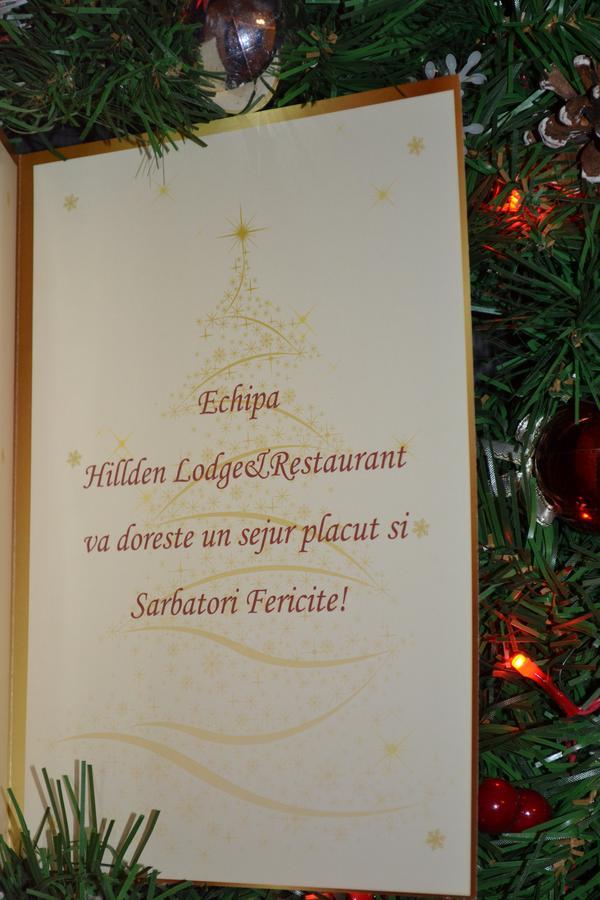Hotel Hillden Lodge&Restaurant Drumu Carului Zewnętrze zdjęcie